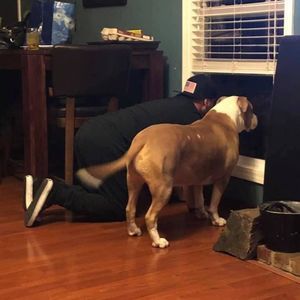 Meet your Posher, Jeff